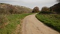 DSCN7173