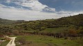 DSCN7185