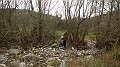 DSCN7186