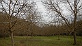 DSCN7191