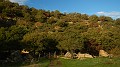 DSCN2546