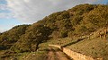 DSCN2553