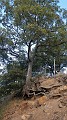 DSCN2560