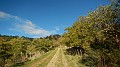 DSCN2561