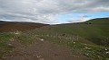 DSCN2563