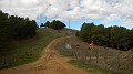 DSCN2565