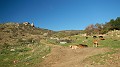 DSCN2571