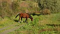 DSCN2573