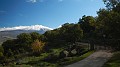 DSCN2586