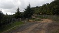 DSCN2591