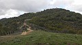 DSCN2593