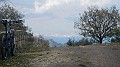 DSCN4271