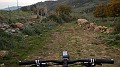 DSCN4274