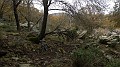 DSCN4276