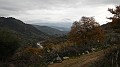 DSCN4279