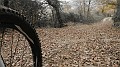 DSCN4281