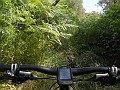 DSCN5486