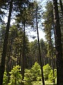 DSCN5499