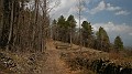 DSCN2951