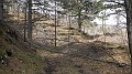 DSCN2952