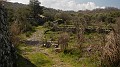 DSCN2966