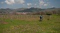 DSCN2967