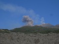 DSCN5445