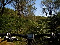 DSCN5448