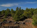 DSCN5451