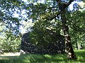 DSCN5454