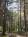 DSCN5456