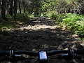 DSCN5482