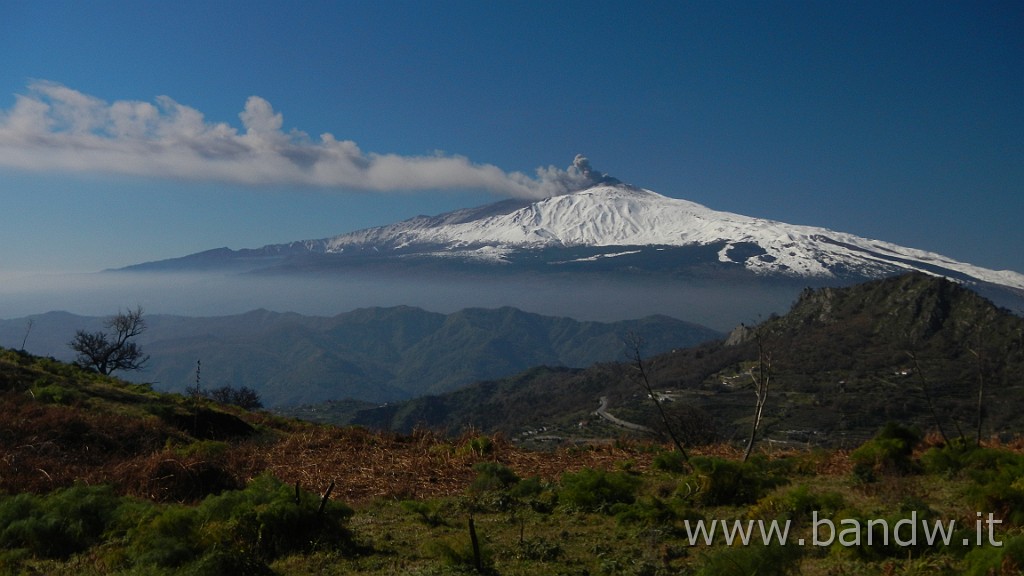 DSCN8030.JPG -                                