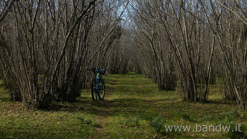 DSCN8038.JPG -                                