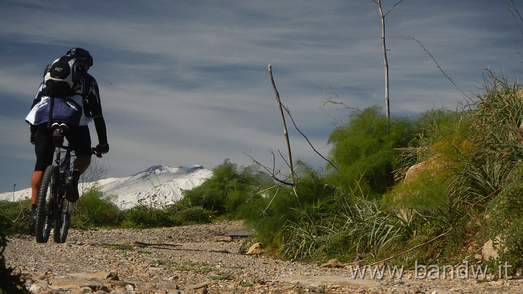 DSCN4527.JPG -                                