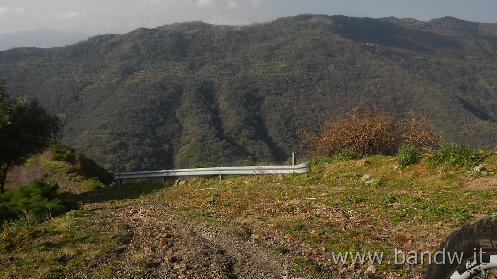 DSCN5824.JPG -                                