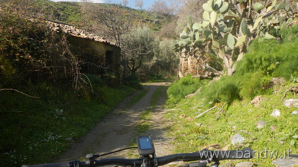 DSCN5828.JPG -                                