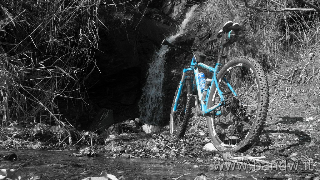 DSCN5834.JPG -                                