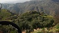 DSCN5823
