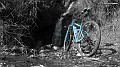DSCN5834