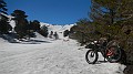DSCN5853