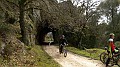 DSCN4452