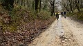 DSCN8006