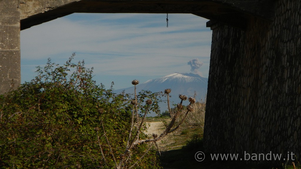 DSCN9411.JPG -                                