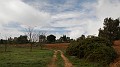 DSCN9375