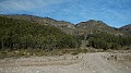 DSCN7447