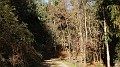 DSCN7451