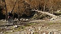 DSCN7452
