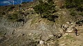 DSCN7457
