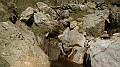DSCN7460